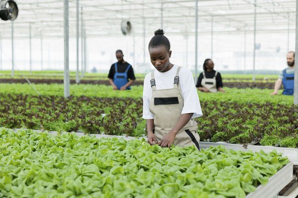 Quelle est la méthode pour faire des pâtes fraîches maison sans machine à pâtes ?